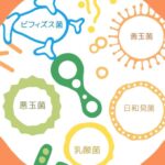 「腸内細菌叢って何ですか?」勉強会レポート