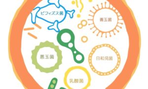 「腸内細菌叢って何ですか？」勉強会レポート